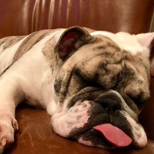 Meet your Posher, Angie